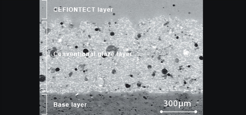 CEFIONTECT2-c10ec7e97d36ea7f.jpg